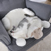 Pet Decor