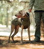 Winter Pet Clothing Thickened Dog