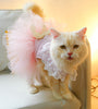 Pet Clothing Cat Clothes Lace Cat