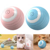 Pet Accessories