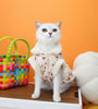 Pet Cat Clothes Autumn And Winter Cat Clothing