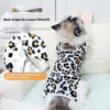 Pet Clothing